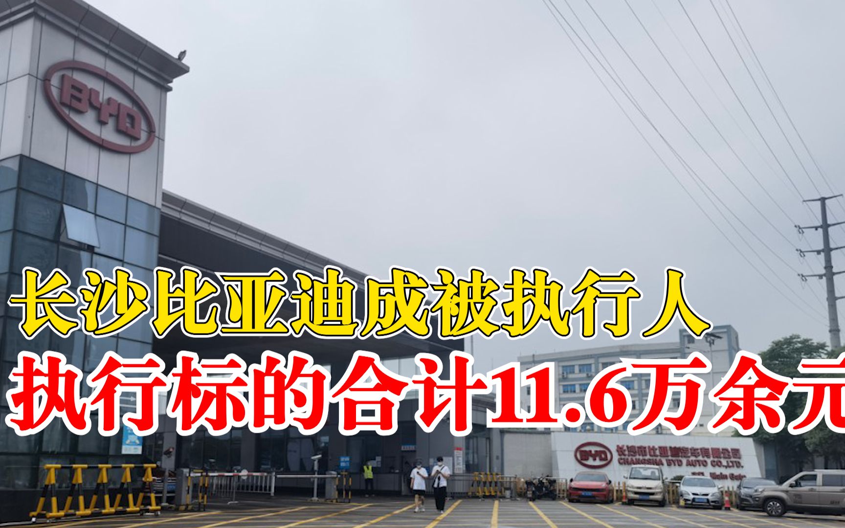 长沙比亚迪成被执行人:执行标的合计11.6万余元哔哩哔哩bilibili