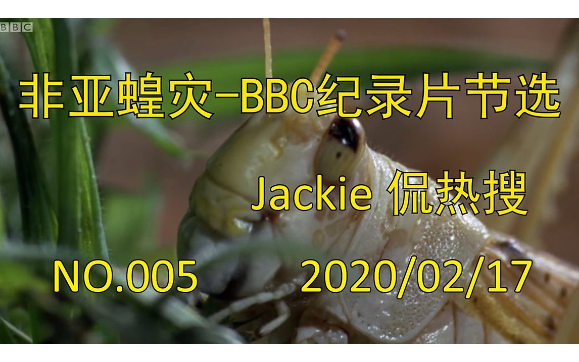 Jackie侃热搜||蝗虫BBC纪录片|蝗灾是怎样形成的?规模可以多大?我们可以做些什么?哔哩哔哩bilibili