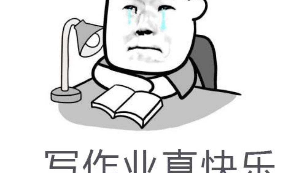 开学补作业现场