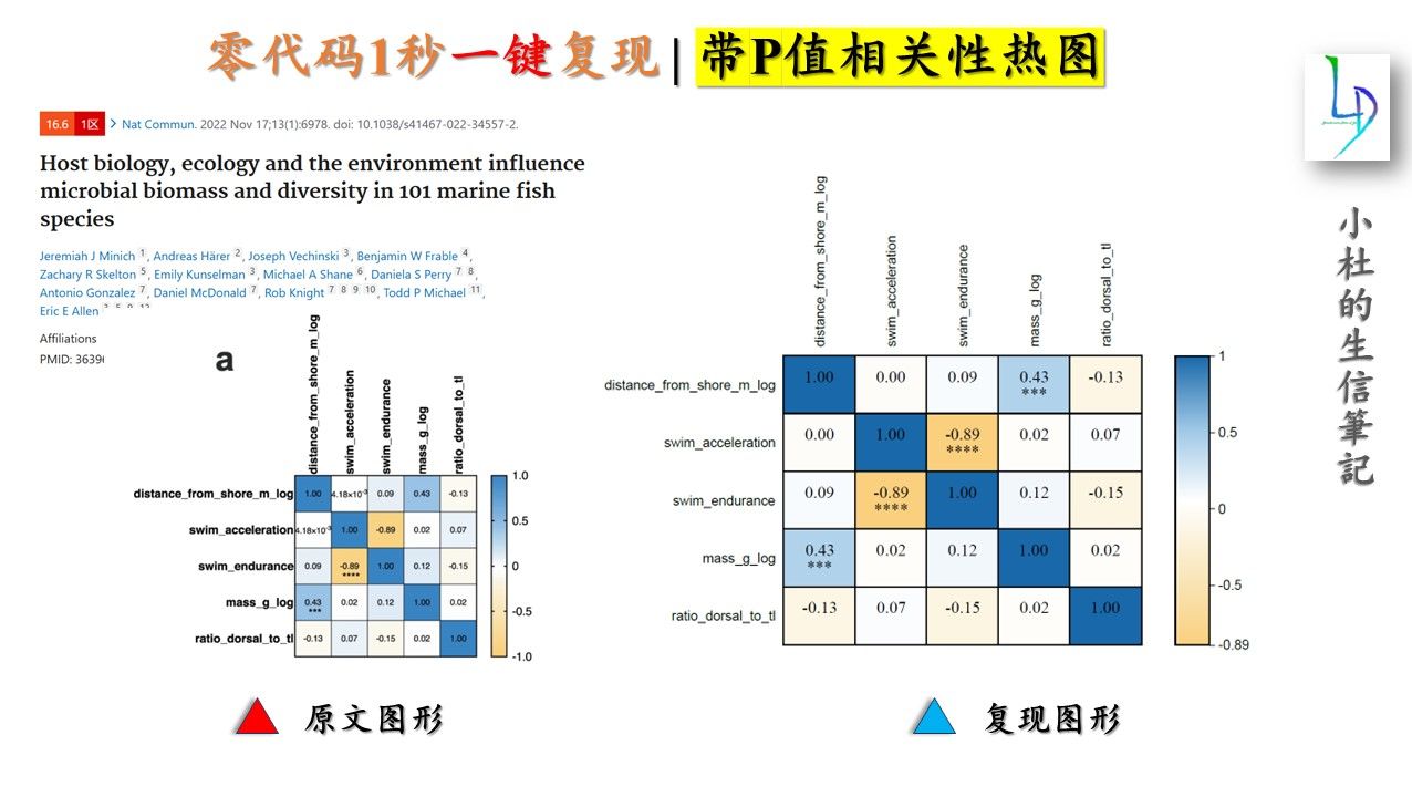 零代码1秒一键复现 | 带P值相关性热图哔哩哔哩bilibili