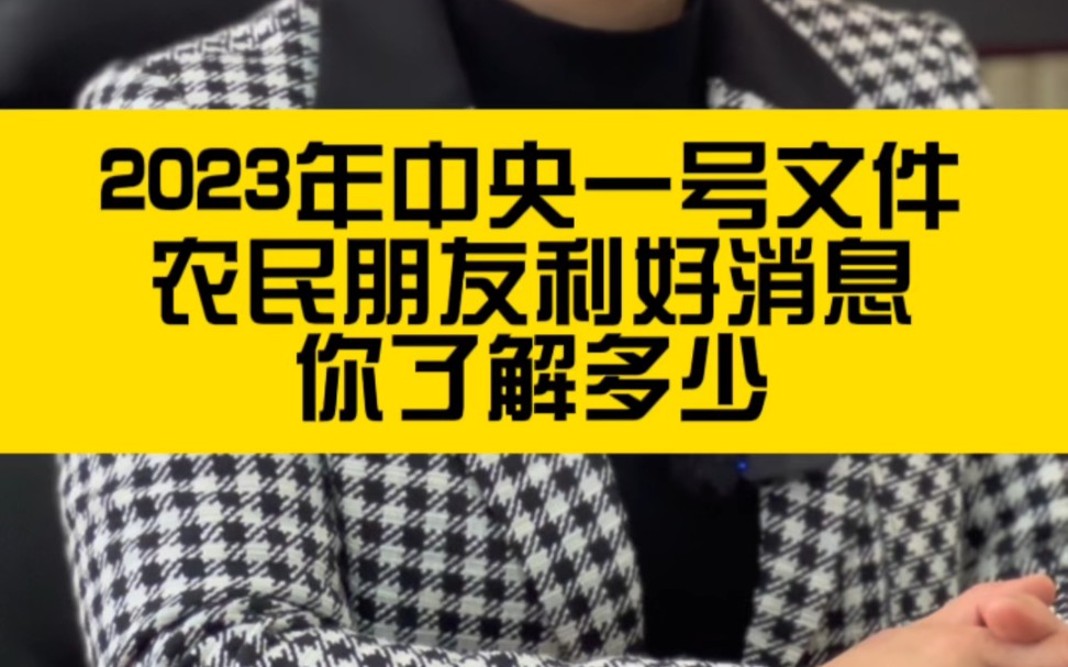 刘可心律师解读:2023年中央一号文件精神哔哩哔哩bilibili