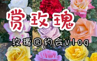 日本东京都立神代植物公园 搜索结果 哔哩哔哩 Bilibili