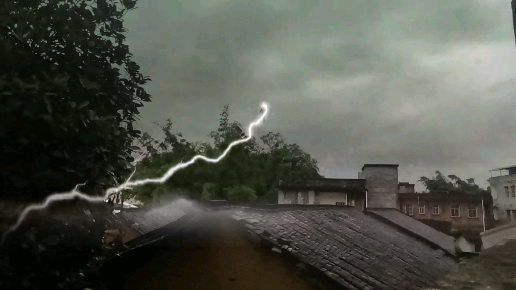 何方道友在此度雷劫