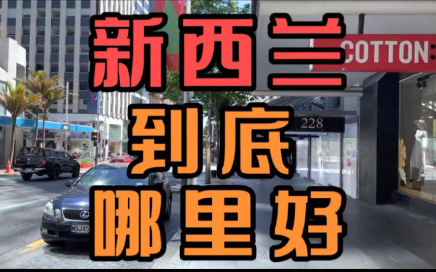 新西兰到底哪里好?看完这个视频,你就全懂了哔哩哔哩bilibili