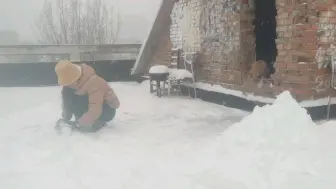 Скачать видео: 大橘和主人一起堆雪人