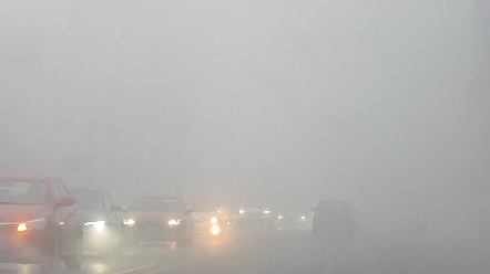 大雾天,如临仙境