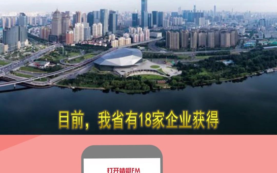 沈飞等13家全国安全文化建设示范企业过审哔哩哔哩bilibili