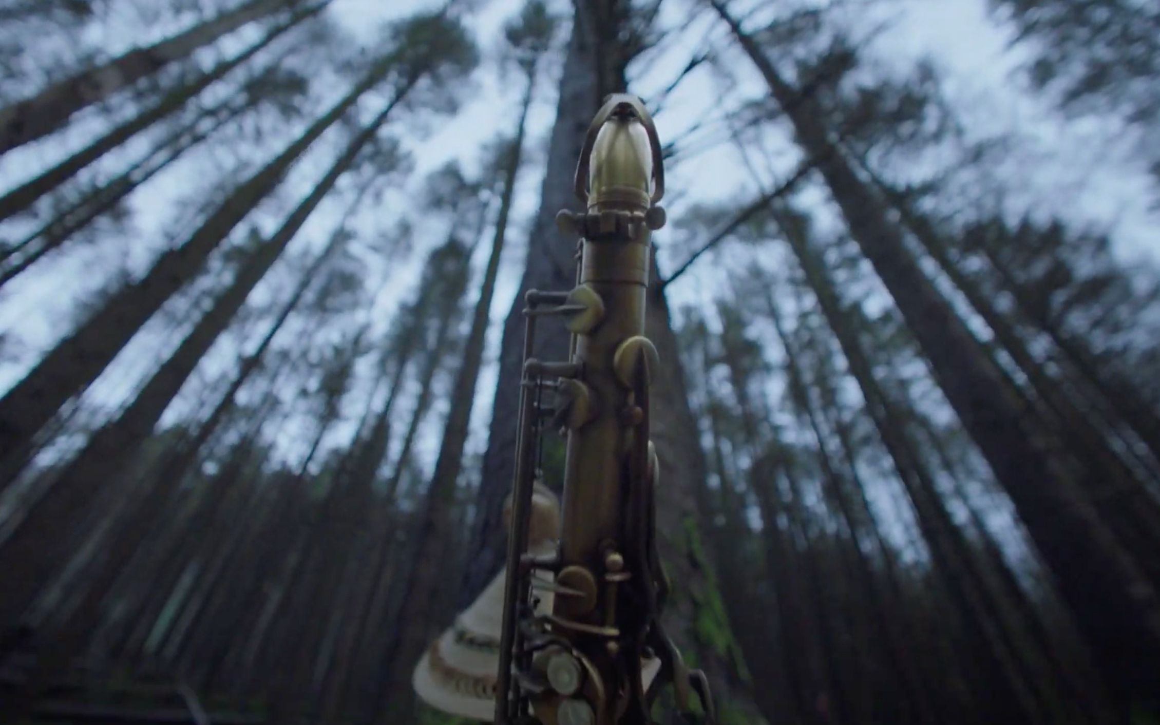 【即兴字幕组】 我陷落的法老 pharoah i fall | nowness_哔哩哔哩