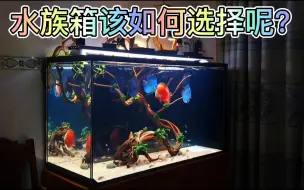 Download Video: 市面上的水族箱品种繁多，该如何选择呢？