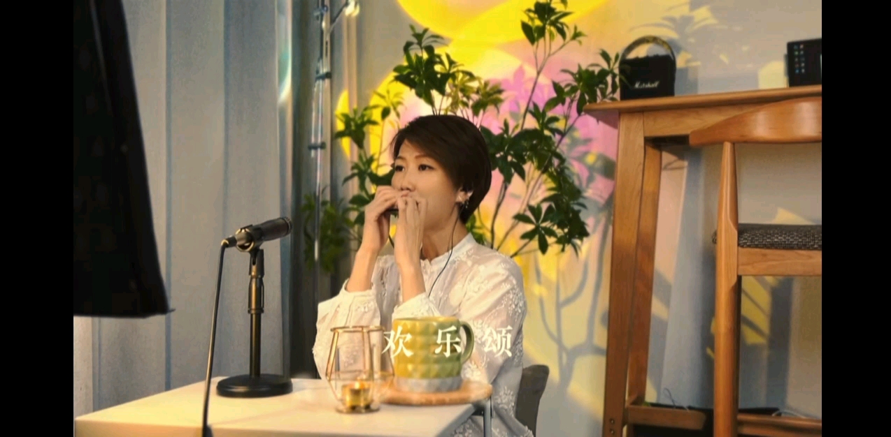 布鲁斯口琴—《欢乐颂》