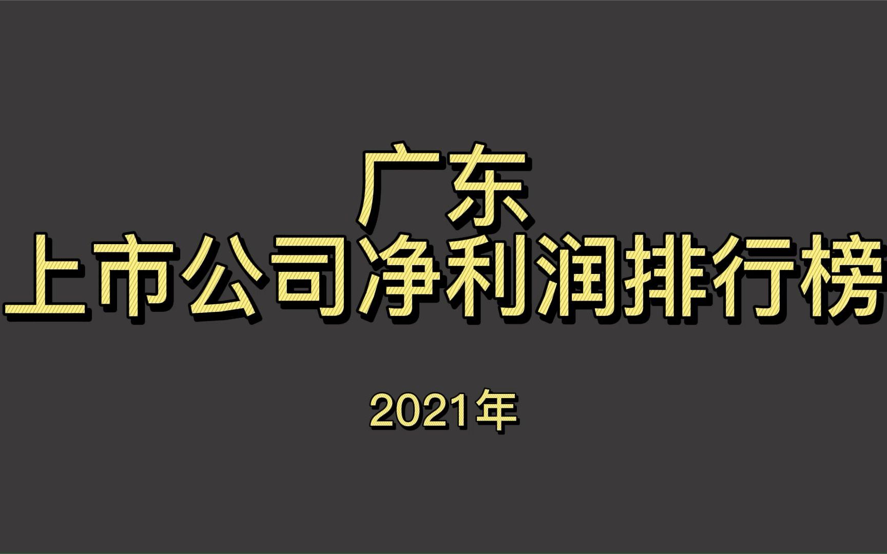 广东上市公司2021年净利润排行榜哔哩哔哩bilibili