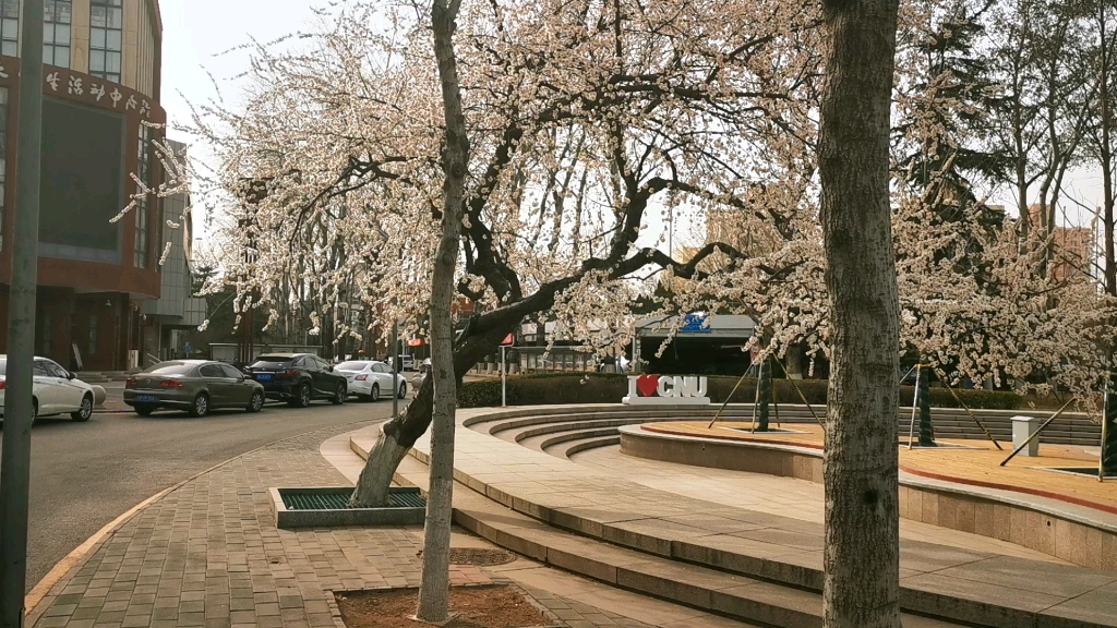 【首都师范大学】图书馆遛一遛哔哩哔哩bilibili