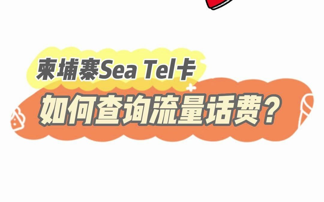 必看!柬埔寨Sea Tel电话卡话费流量如何查询?柬埔寨话费流量充值技巧哔哩哔哩bilibili