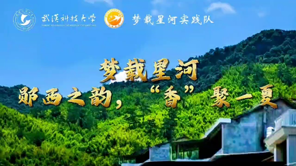 梦载星河 郧西之韵,“香”聚一夏哔哩哔哩bilibili