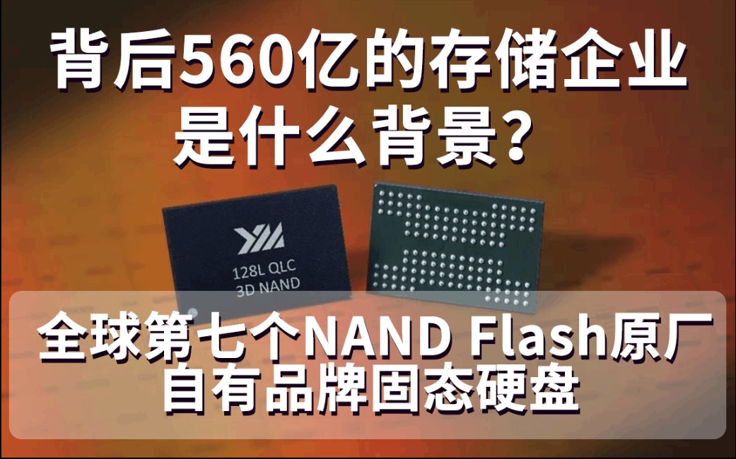 [参考指南]背后560亿的存储企业是什么背景?全球第七个Nand Flash原厂自有品牌长江存储致钛固态硬盘哔哩哔哩bilibili