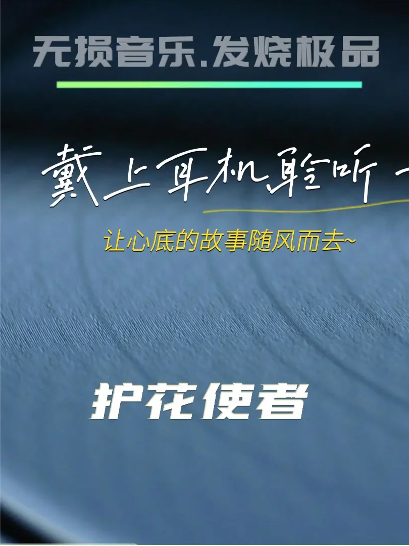 护花使者.粤语金曲.完整版.无损音乐.发烧极品