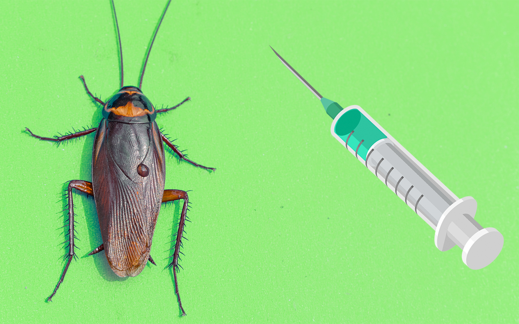 将消毒水注射给小强会发生什么呢