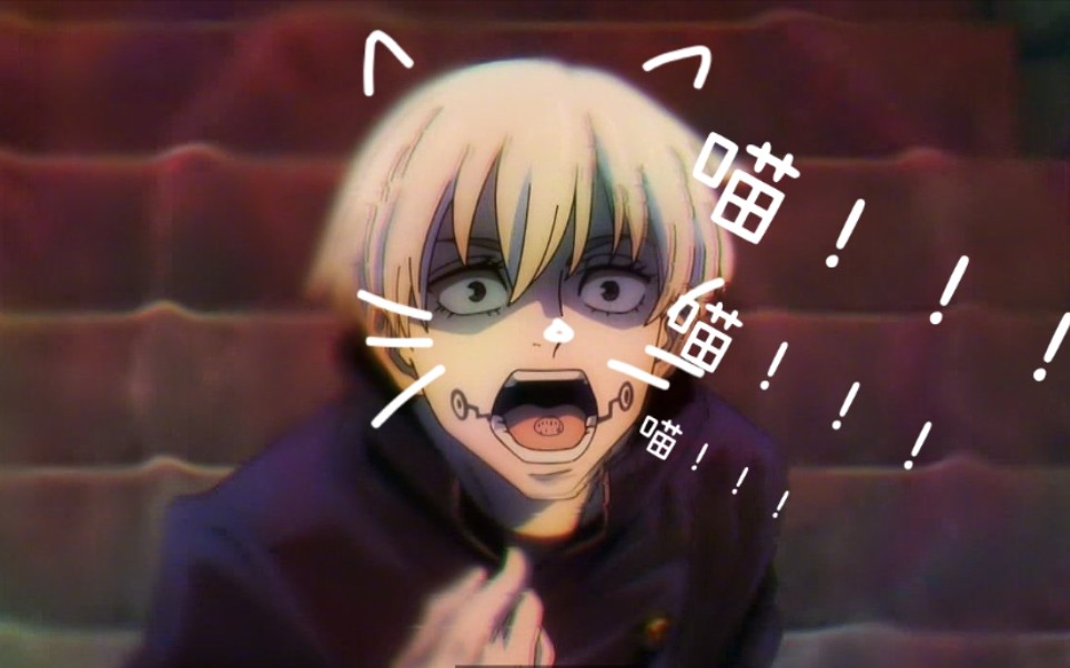 咒术回战狗卷棘当猫猫遇到困难时