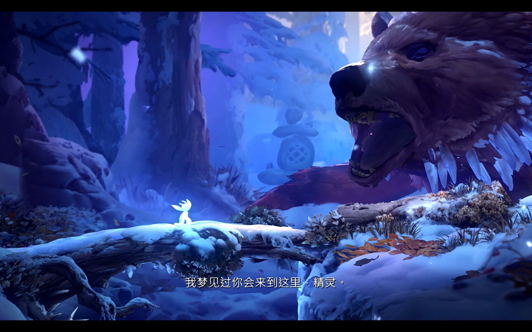 ori与萤火意志s42鲍尔之触1