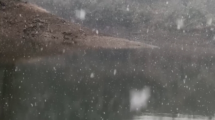 [图]深冬雨雪真诚的守候，大板鲫你在何方