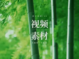 Download Video: 【免版权素材】竹林阳光治愈视频素材