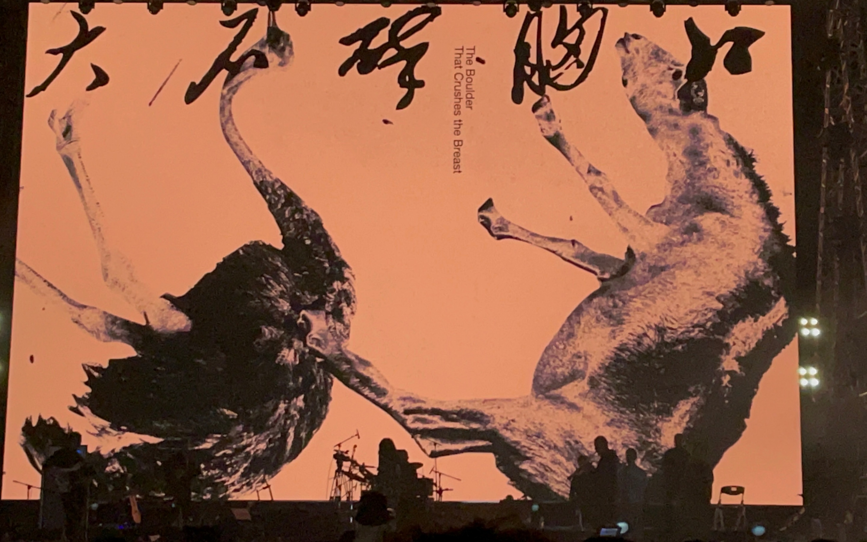 万青—大石碎胸口 苏州盛放音乐节(10.23)