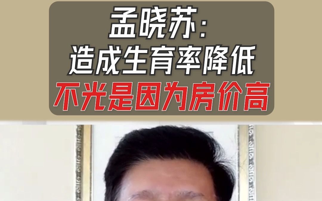 中房集团原董事长孟晓苏:生育率降低不只因为房价高哔哩哔哩bilibili