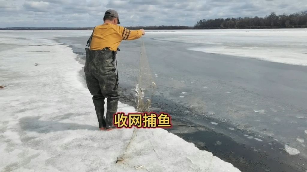 黑龙江涨水了,赶紧把渔网收回来,放了三片网收回来二片哔哩哔哩bilibili