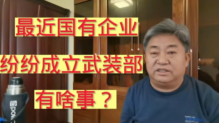 最近国有企业纷纷成立武装部,为啥?哔哩哔哩bilibili