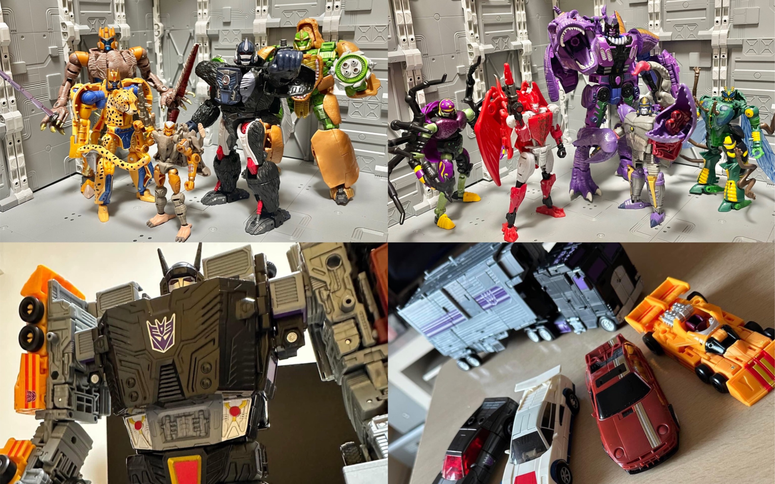 新品实物展示:传世进化飞天虎礼盒,bwvs恐龙狼蛛蛇鸟老鼠 变形金刚