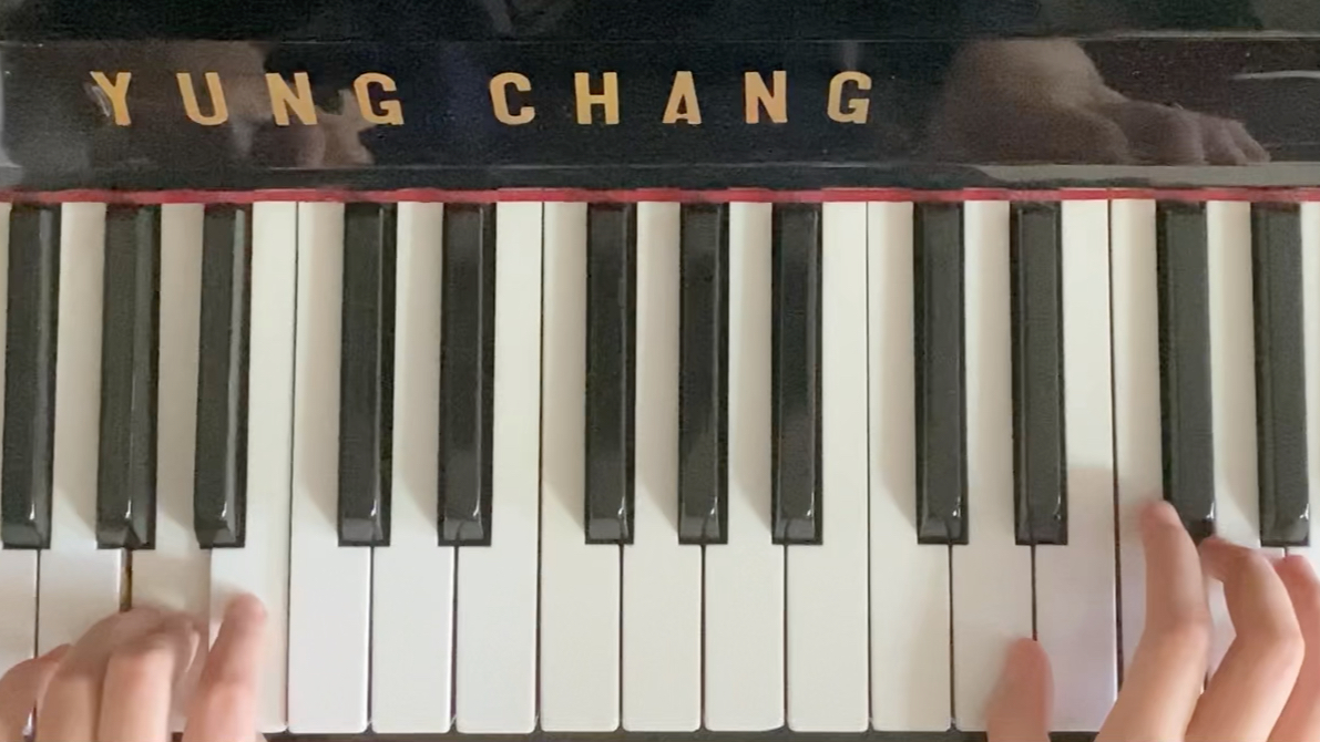 【钢琴】"欢欣之意皆由你"euphoria翻弹