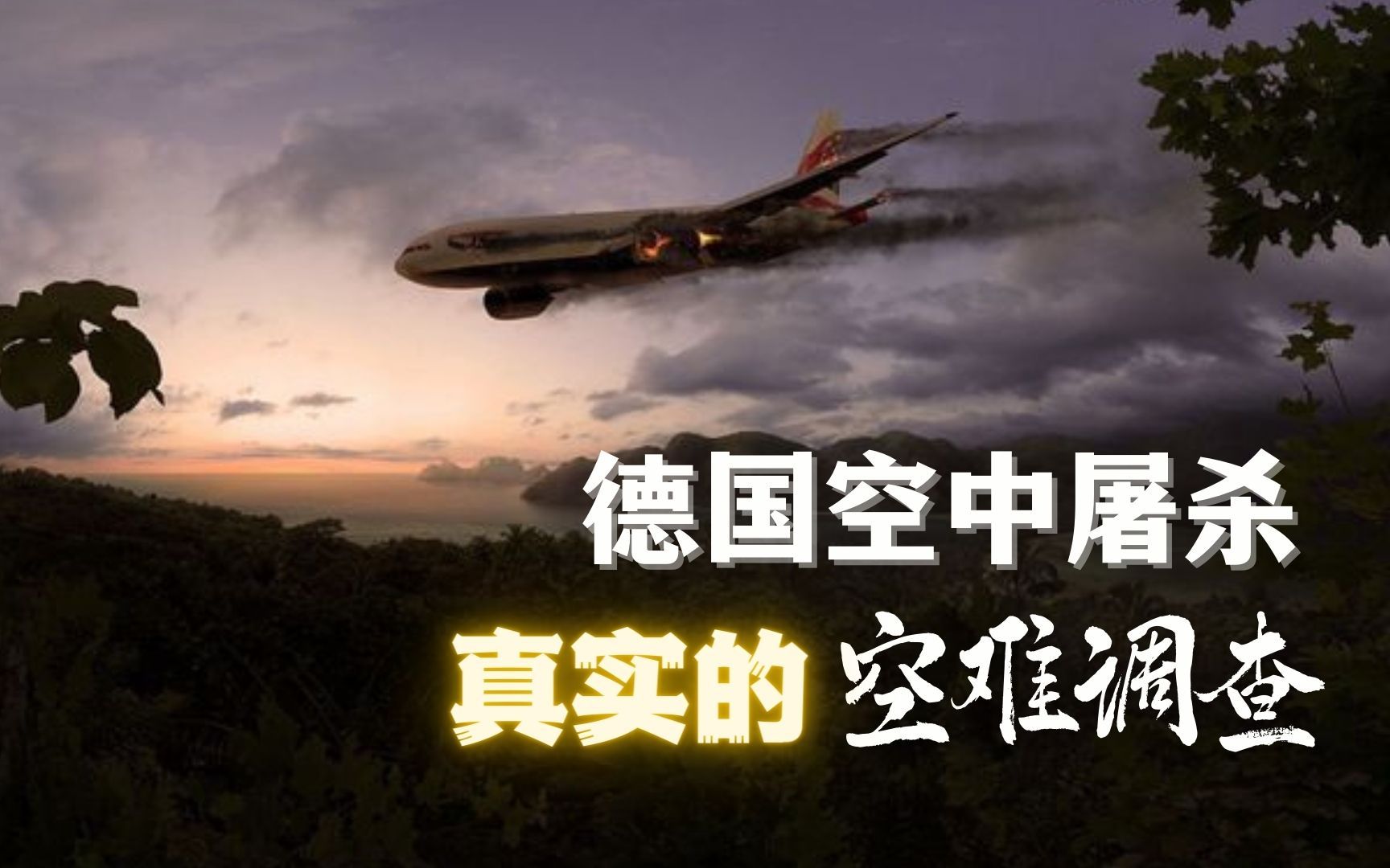 【空中浩劫】飞机垂直下坠撞山·德国之翼扑朔迷离的空难背后|空难调查-闪电看剧-闪电看剧-哔哩哔哩视频