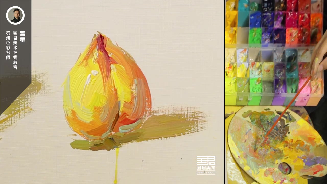 【色彩】曾星色彩单体讲解-桃子教学示范,干货!