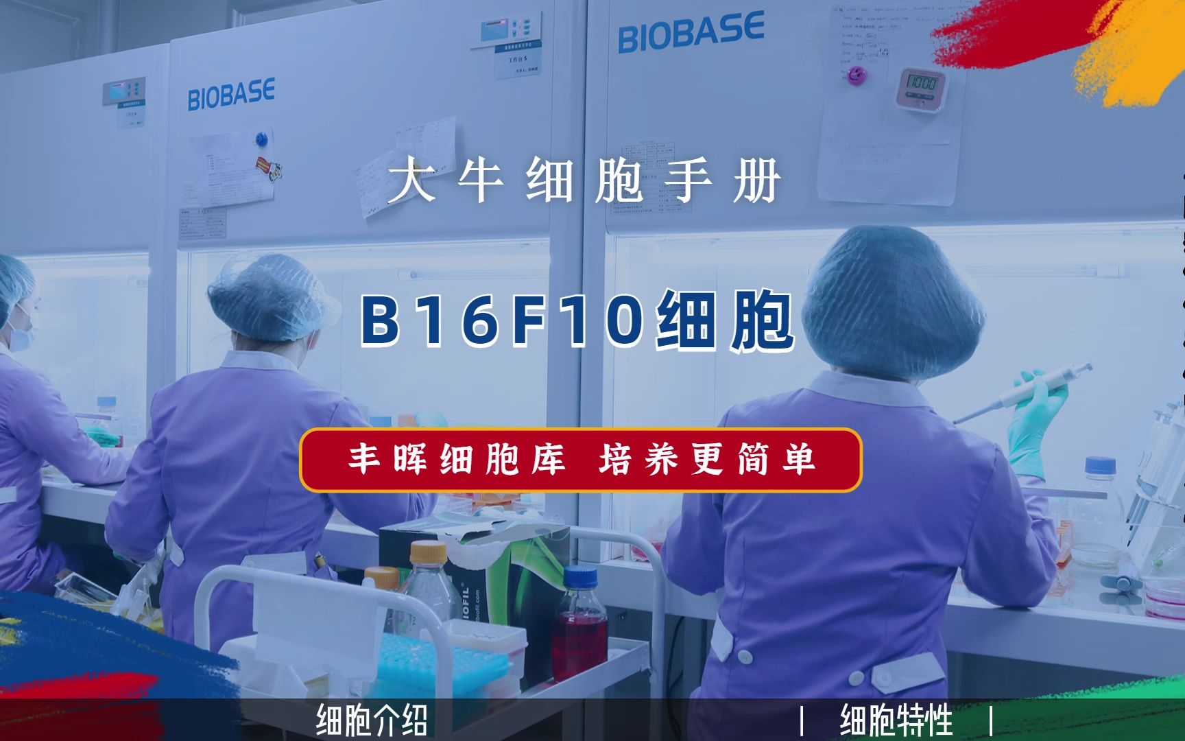 [图]丰晖生物细胞库培养手册：B16F10细胞培养，小鼠黑色素瘤细胞培养攻略。