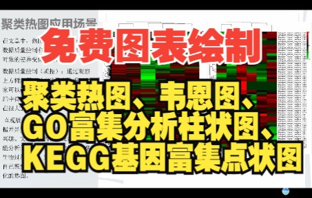 [图]【图表绘制】聚类热图、韦恩图、GO富集分析柱状图、KEGG基因富集点状图