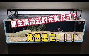 原生溪流缸的完美尺寸