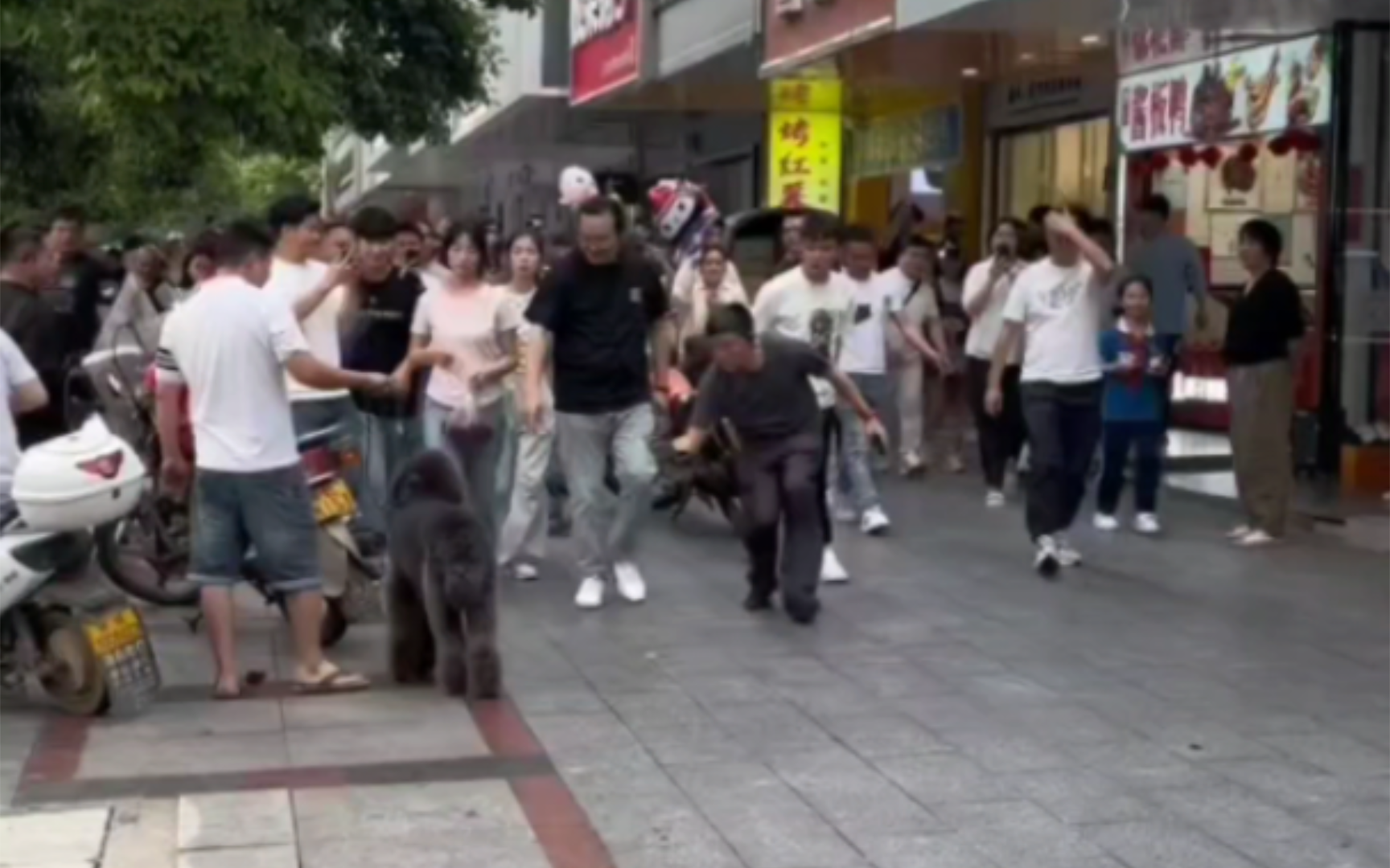 怎么这么多人跟着?