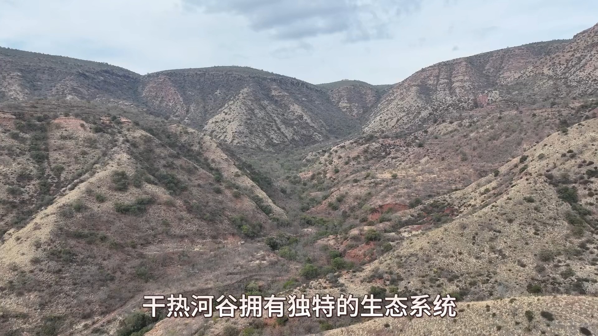 《干热河谷科普》