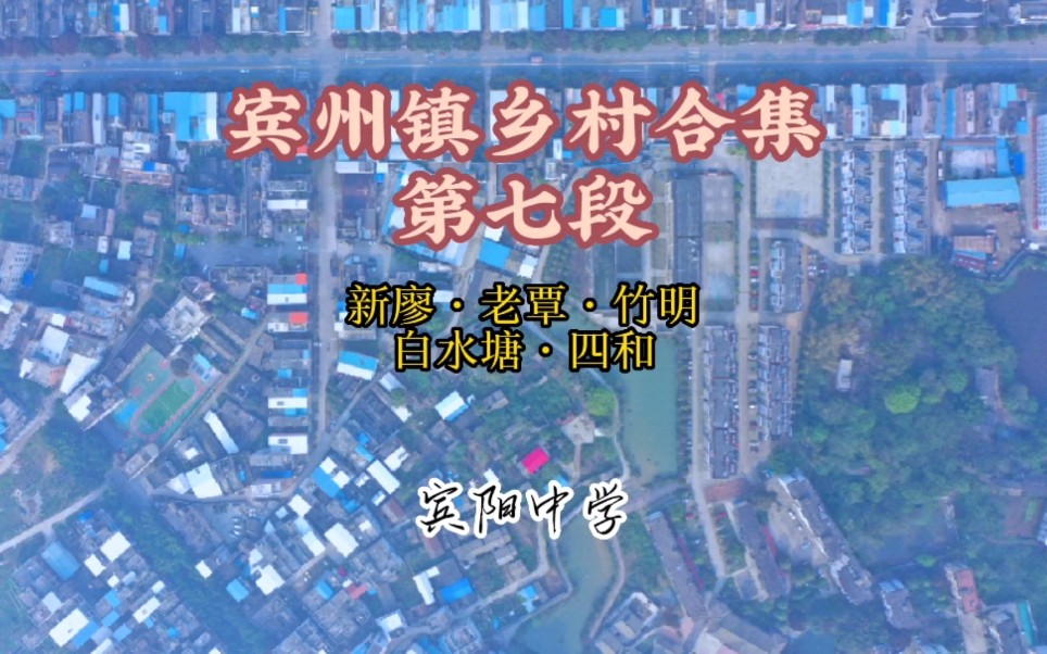 广西南宁市宾阳县,宾州镇乡村合集第七段,新廖村委五个村庄哔哩哔哩bilibili