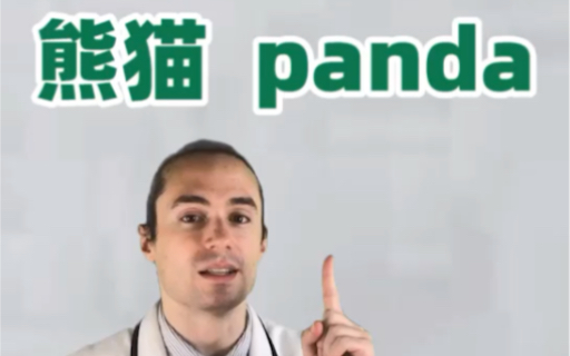 一次学会英语单词:熊猫 panda哔哩哔哩bilibili