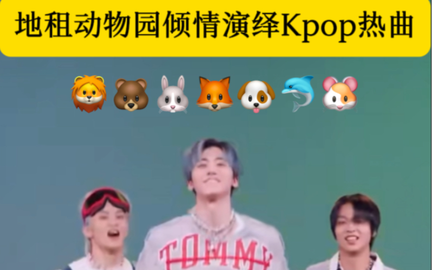 【NCT DREAM】《 动 物 表 演 》哔哩哔哩bilibili