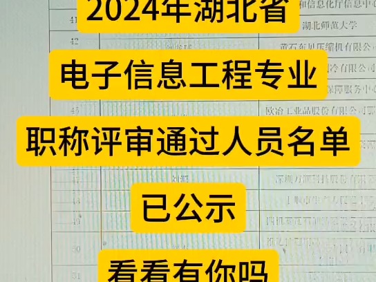 2024年湖北省电子信息工程专业职称评审通过人员名单已公示,看看有你吗哔哩哔哩bilibili