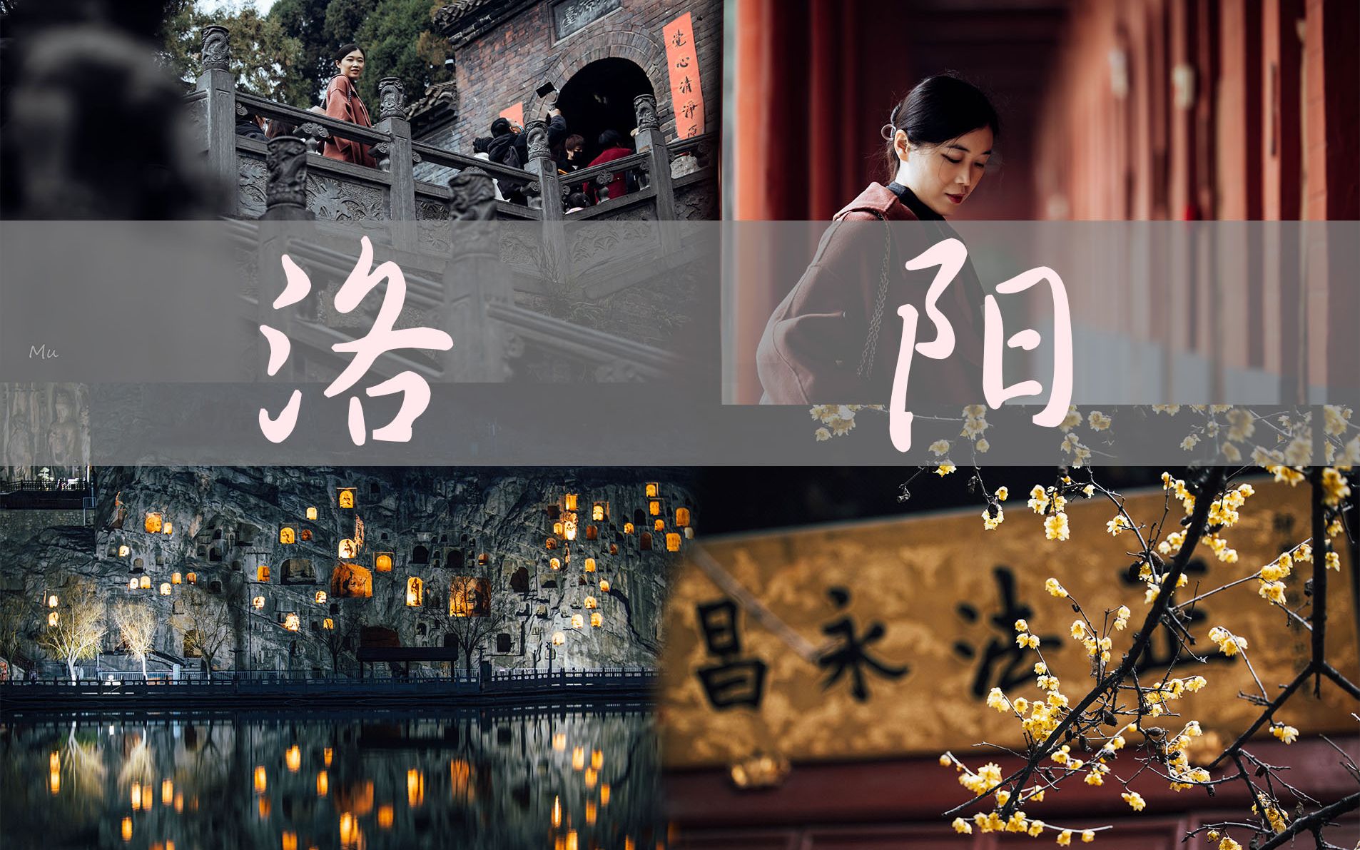 洛阳vlog | 来到了洛阳我爱的龙门石窟 时隔三年 终于再次说走就走