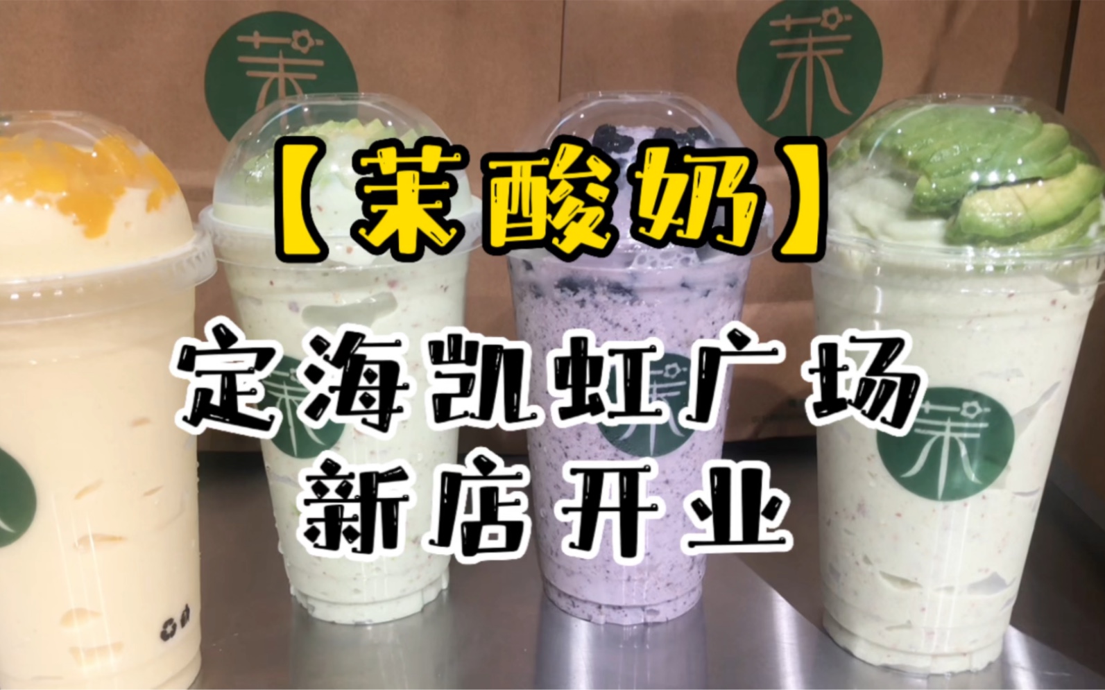 舟山探店 | 茉酸奶哔哩哔哩bilibili