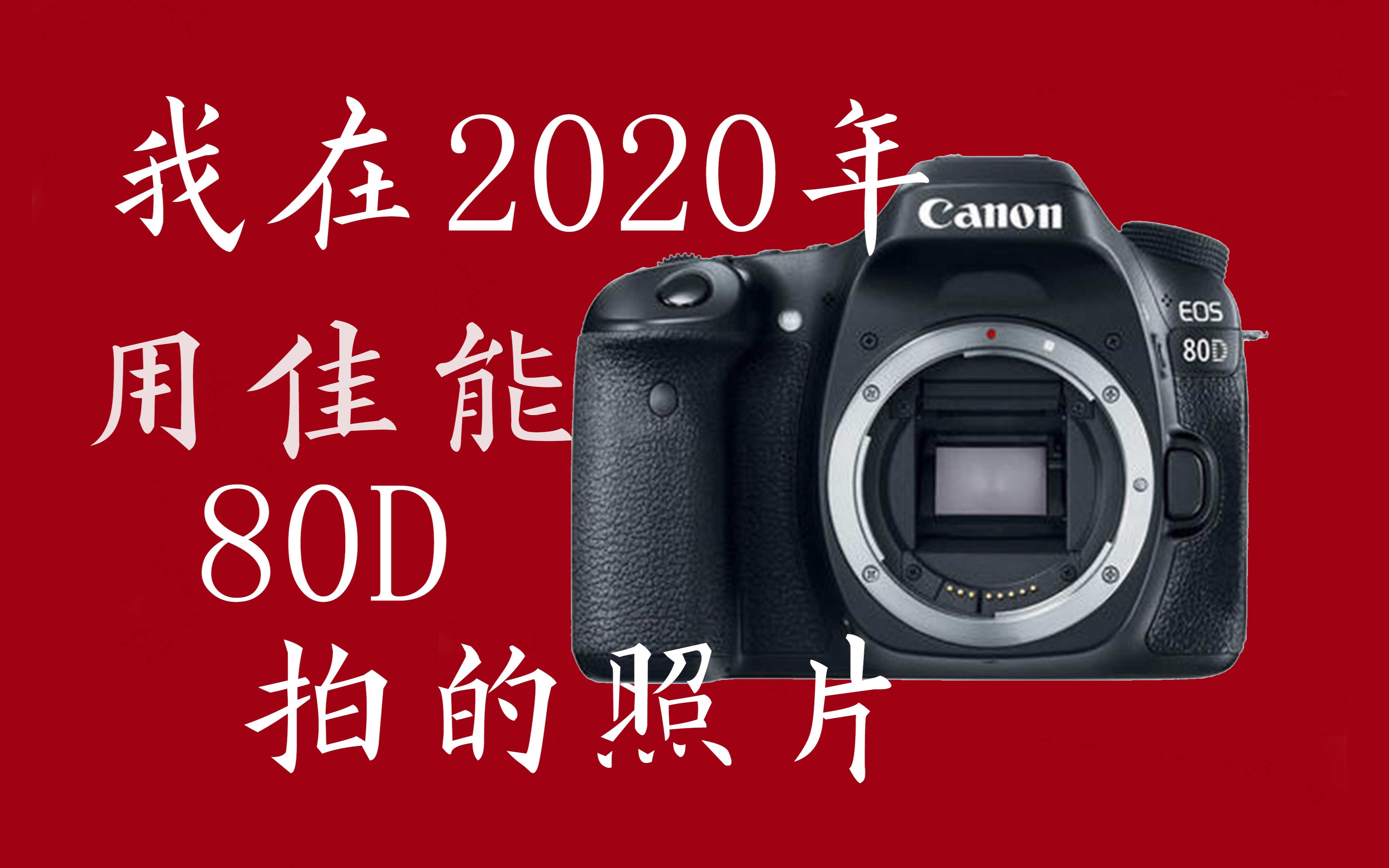 【佳能80D】我在2020年用佳能80D拍的照片哔哩哔哩bilibili