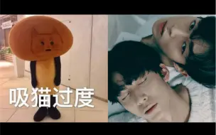 Download Video: 【SF9】金辉映向日葵·李大圆：头号颜粉、第一弟吹、猫塑达人