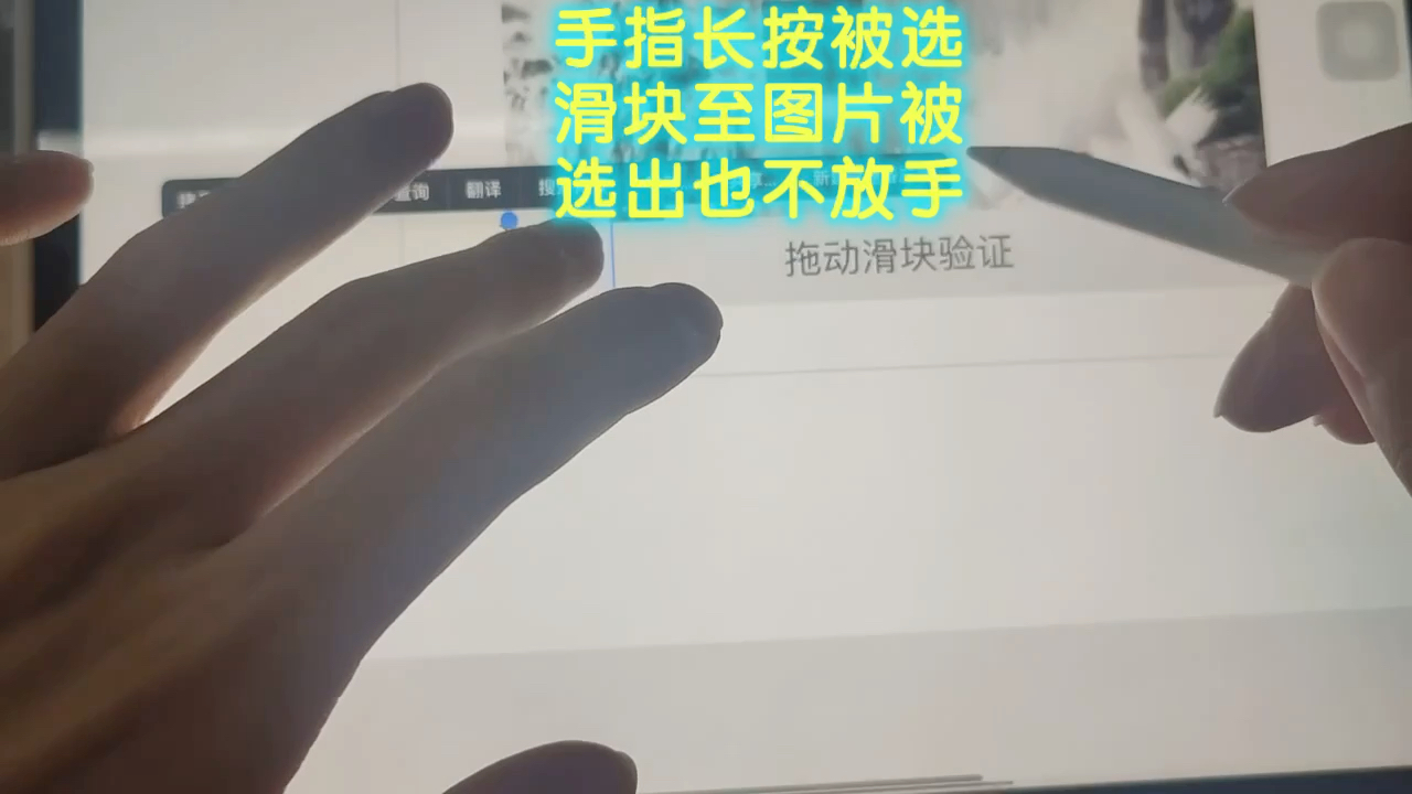 iPad触控无法滑块验证?北大法宝验证成功解决哔哩哔哩bilibili