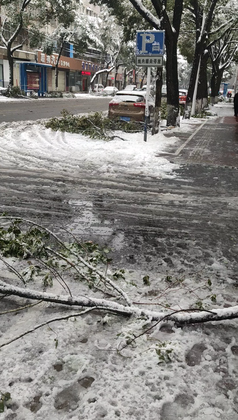 [图]又是一年落雪时，飘飘白絮漫天飞