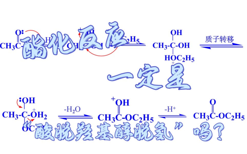 【有机化学小科普】酯化反应一定是“酸脱羟基醇脱氢”吗?哔哩哔哩bilibili