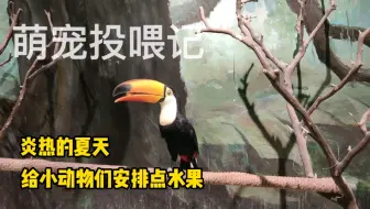 容易被玩家误会的 吃屎鱼 它的作用是除藻和清理食物残渣 哔哩哔哩 Bilibili